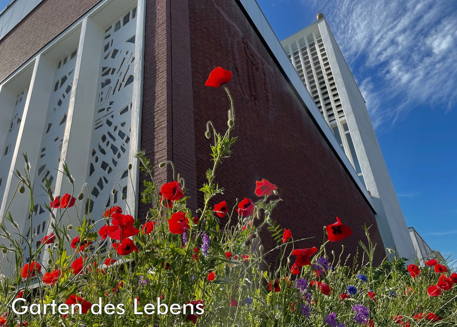 Ostern 2023 - St. Willehad